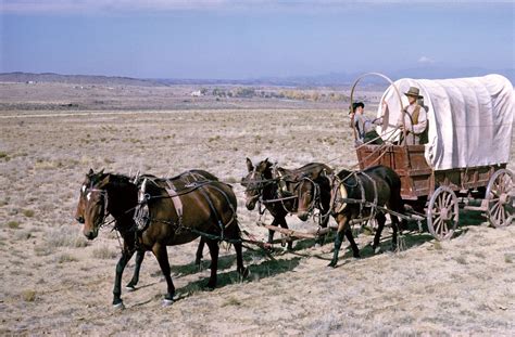  Wagon Train, Un viaggio avventuroso attraverso la Frontiera con le stelle del West!